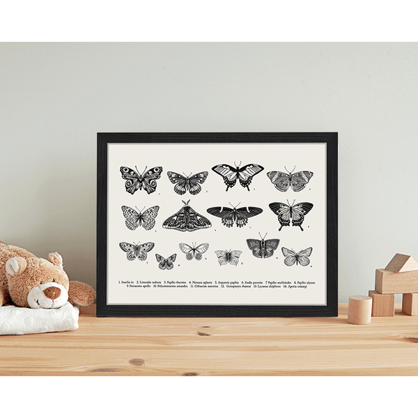 Liv Corday Butterlfy Collection