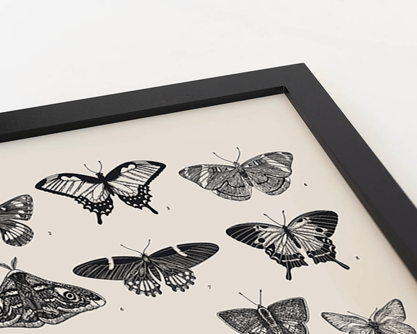 Liv Corday Butterlfy Collection