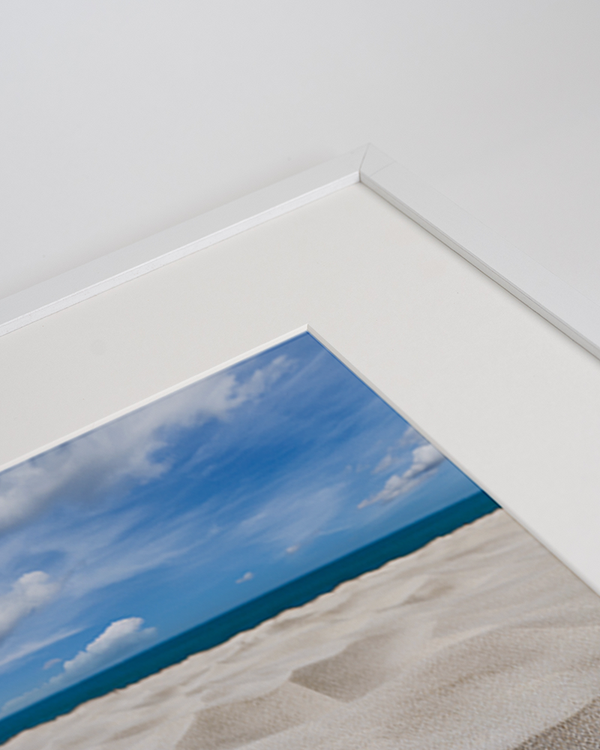 Liv Corday Couple Of Shell Nuts