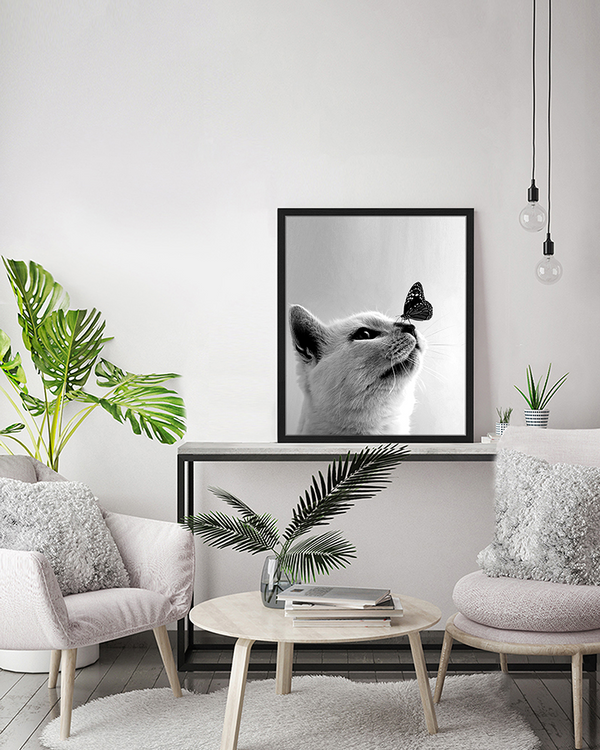 Liv Corday Cute Tabby Cat