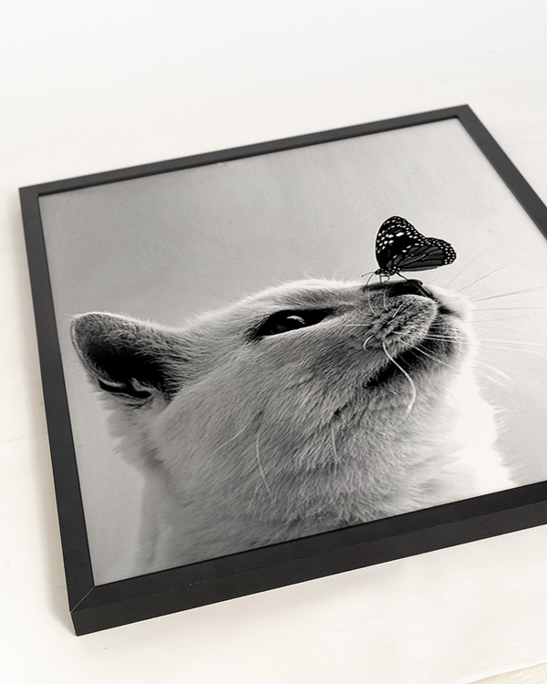 Liv Corday Cute Tabby Cat