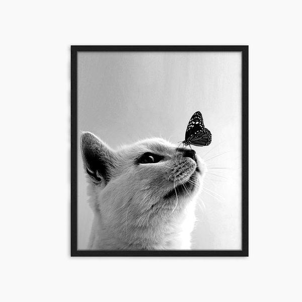 liv corday Cute Tabby Cat