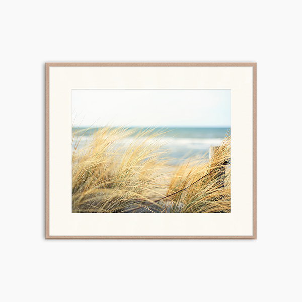 liv corday Day at the Ocean