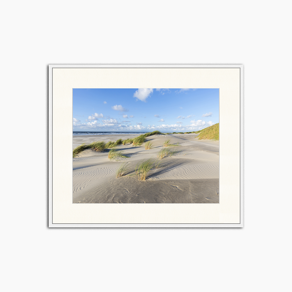 liv corday Dunes of Royan