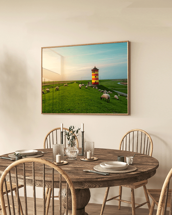 Liv Corday East Frisian Coast & Sheep