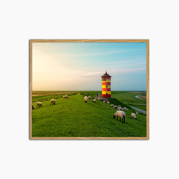 liv corday East Frisian Coast & Sheep