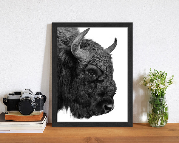 Liv Corday European Bison
