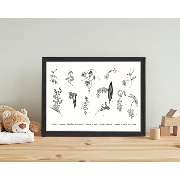 Liv Corday Exotic Plants