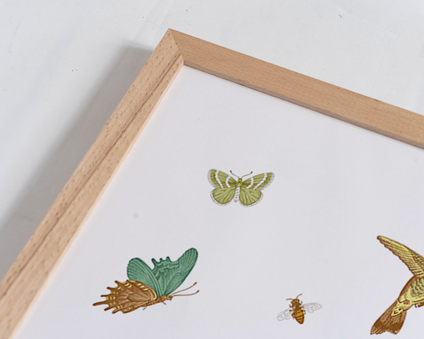 Liv Corday Exotic Plants And Birds