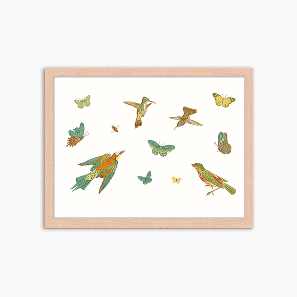 liv corday Exotic Plants and Birds