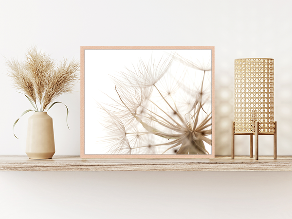 Liv Corday Flora Of Gran Canaria