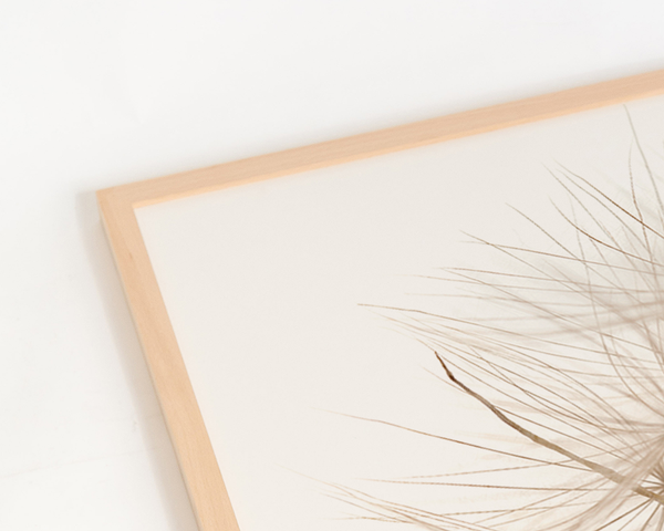 Liv Corday Flora Of Gran Canaria