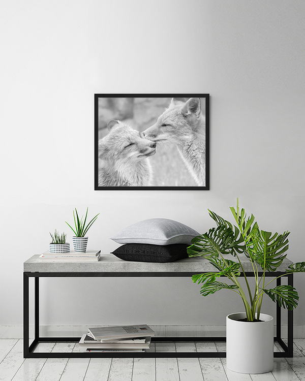 Liv Corday Foxes Kissing