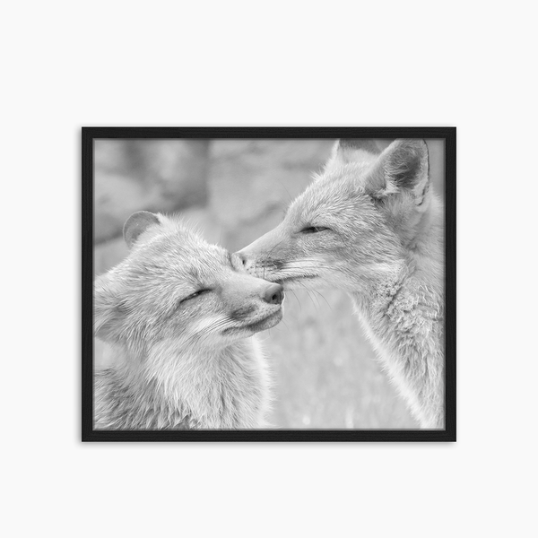 liv corday Foxes kissing