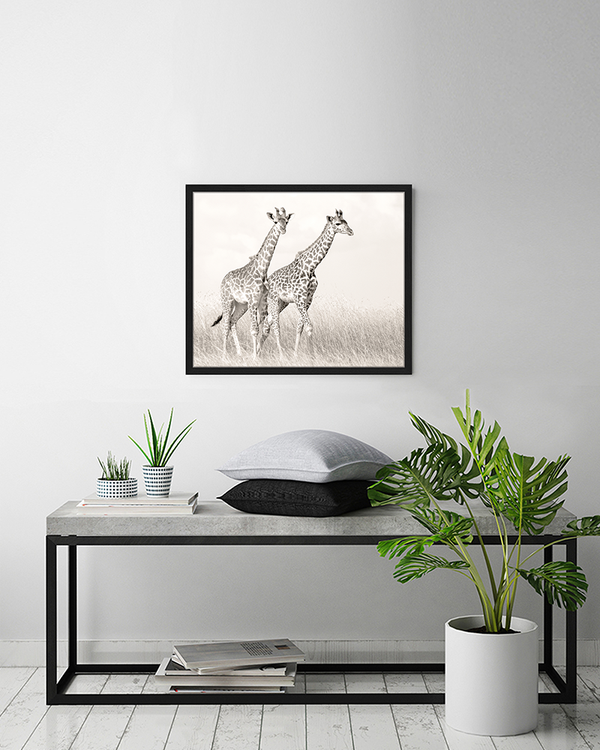 Liv Corday Giraffe Couple Walking