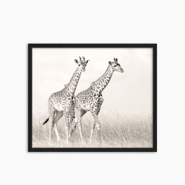 liv corday Giraffe Couple Walking