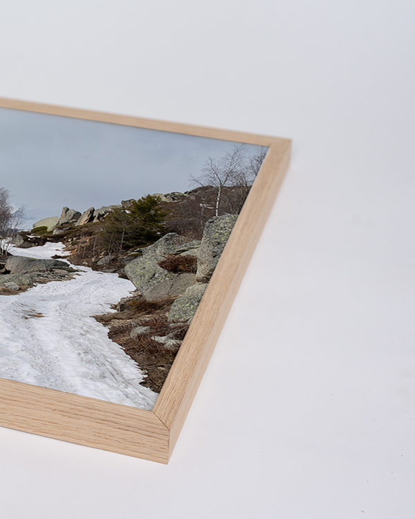 Liv Corday Green Winter Landscape