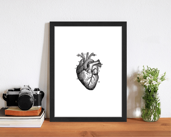 Liv Corday Human Heart