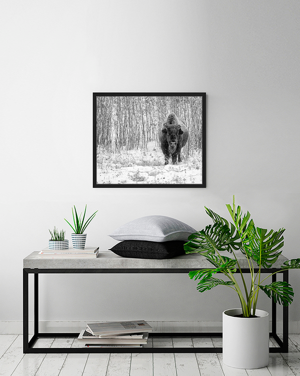 Liv Corday In The Snow