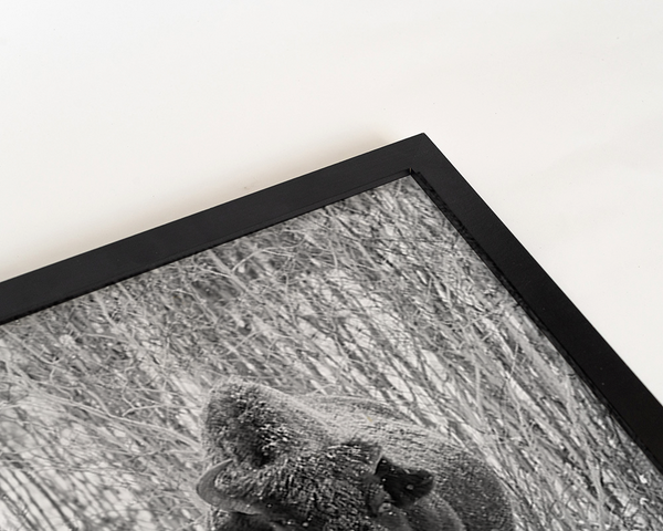 Liv Corday In The Snow