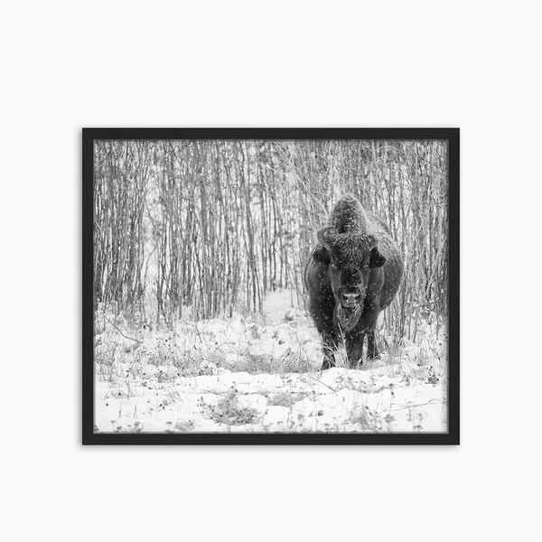 liv corday In the snow