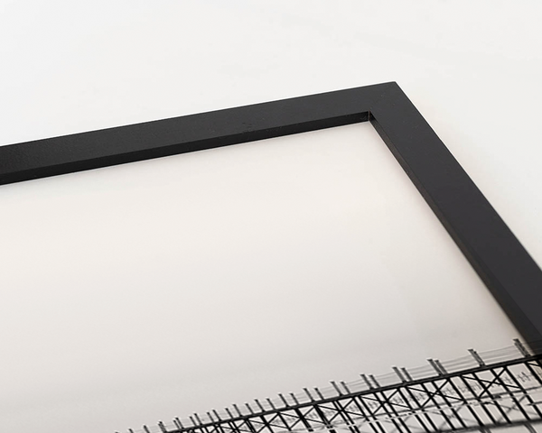 Liv Corday Jetty Going Out Into The Sea