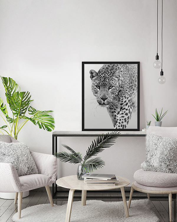 Liv Corday Leopard In B&W