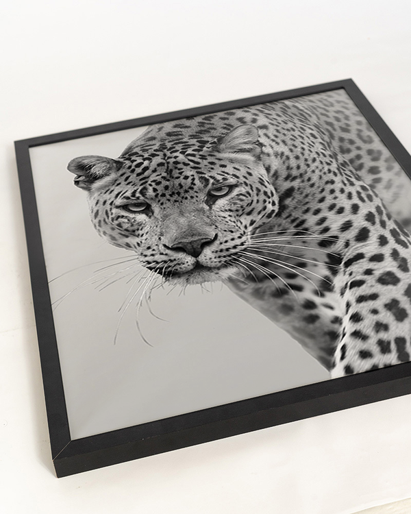 Liv Corday Leopard In B&W