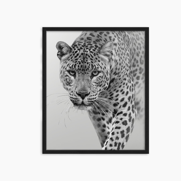 liv corday Leopard in B&W