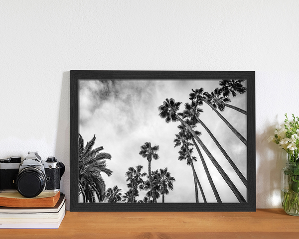 Liv Corday Looking Up Into Palm Trees