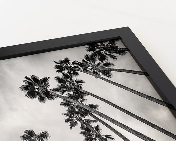 Liv Corday Looking Up Into Palm Trees