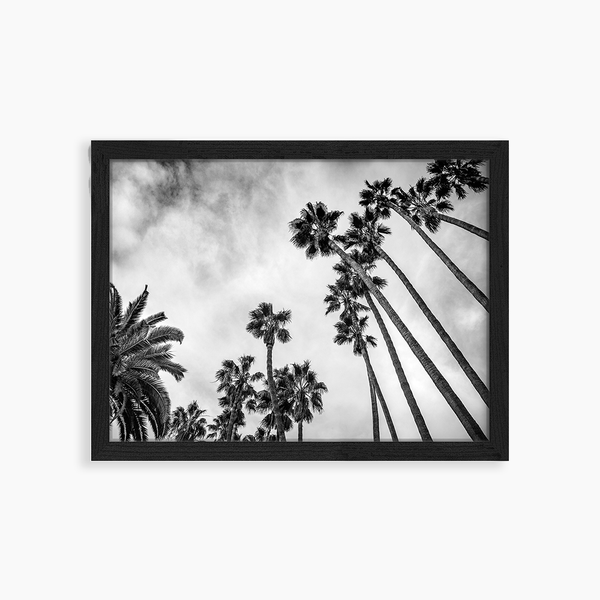 liv corday Looking Up Into Palm Trees
