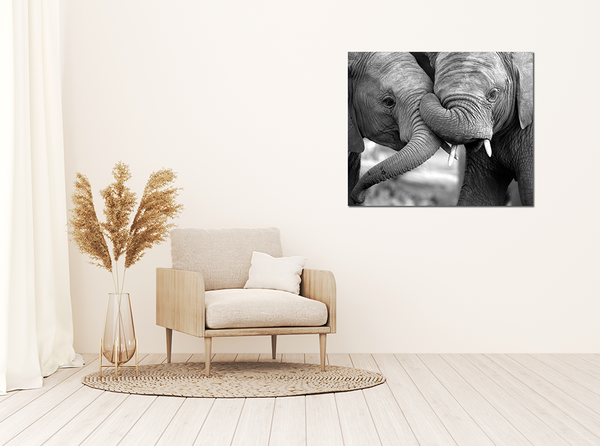 Liv Corday Love In The Jungle