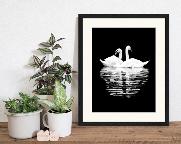 Liv Corday Love Reflection