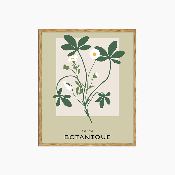 liv corday N6 Botanique