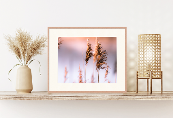 Liv Corday Pampagrass