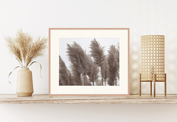 Liv Corday Pampas Grass