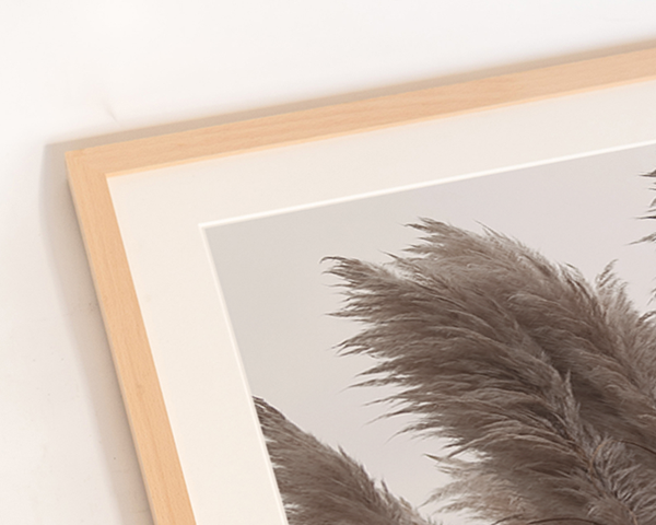 Liv Corday Pampas Grass