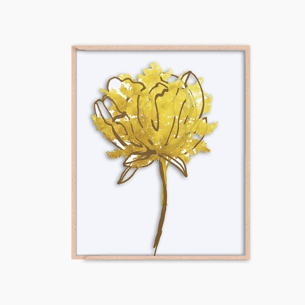 liv corday Peony flower