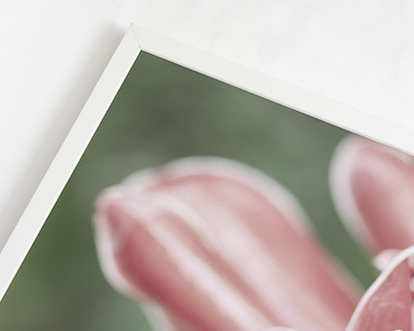 Liv Corday Pink Flower Close Up