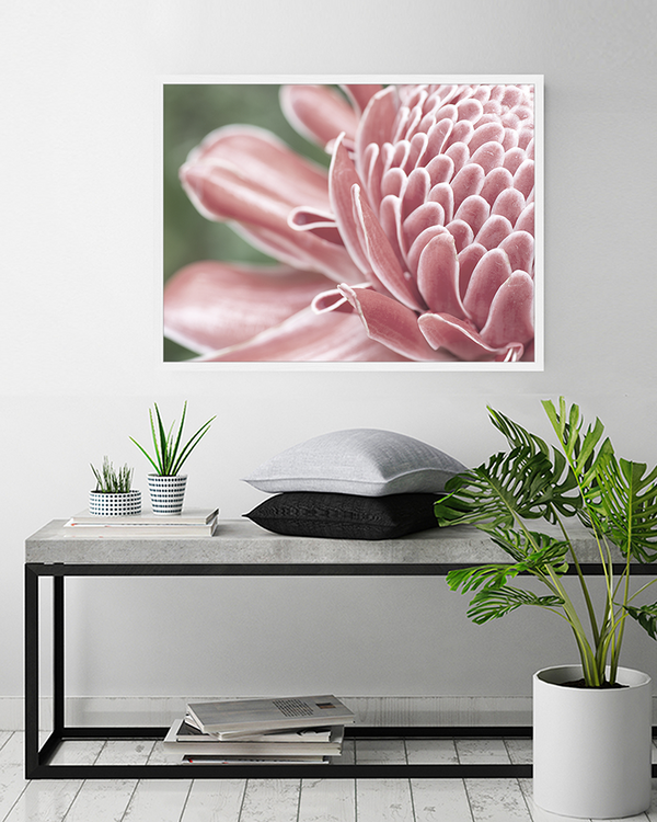 Liv Corday Pink Flower Close Up