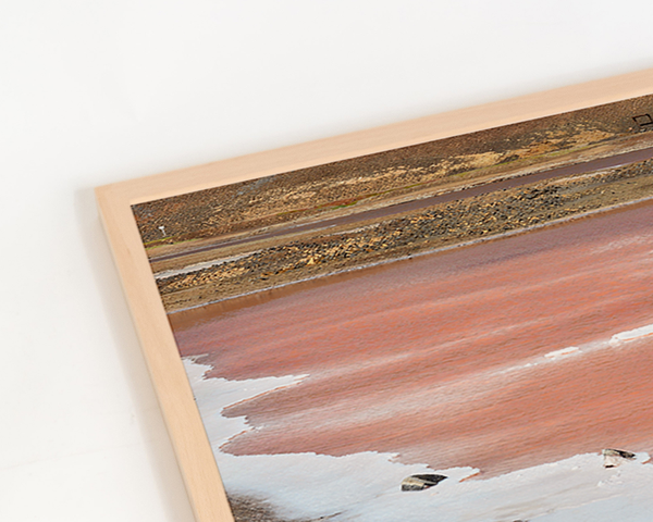 Liv Corday Pink Island