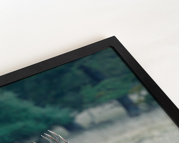 Liv Corday Red Deer In The Field