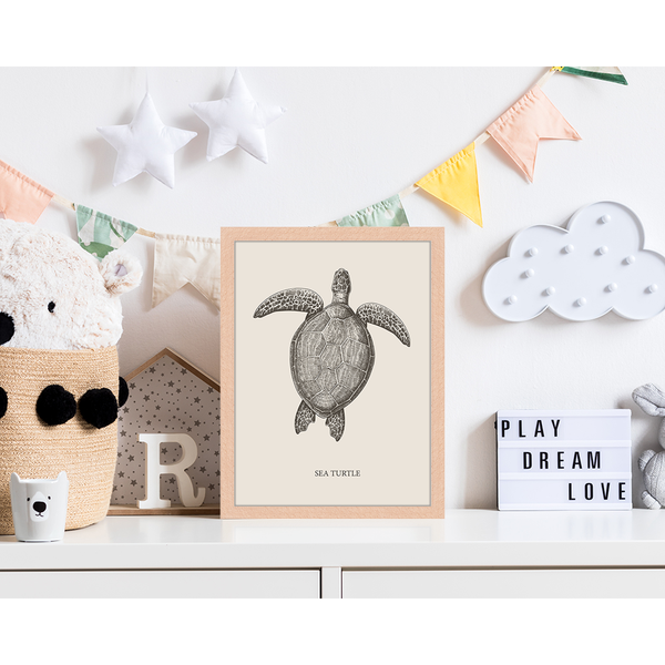 Liv Corday Sea Turtle