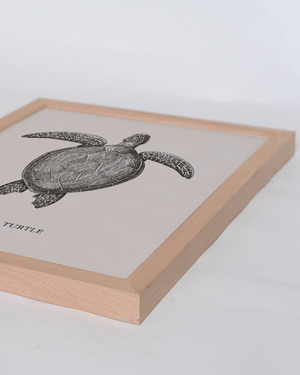 Liv Corday Sea Turtle