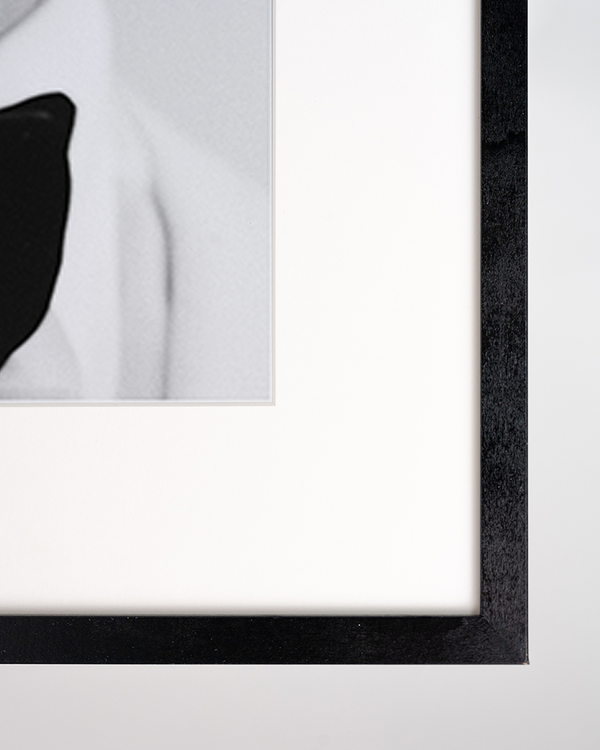 Liv Corday Sir Roger Moore