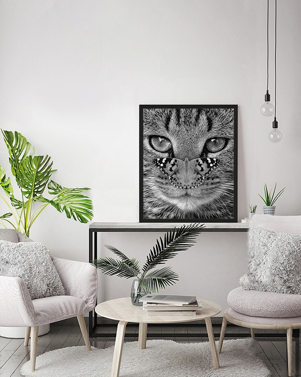 Liv Corday Sitting On My Cat