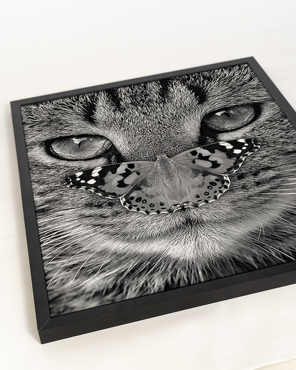 Liv Corday Sitting On My Cat