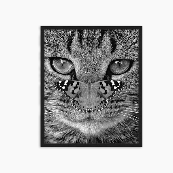 liv corday Sitting on my cat