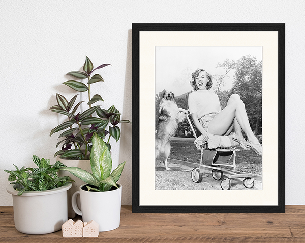 Liv Corday Strong Dog